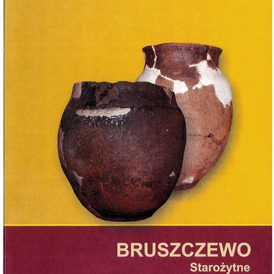 Bruszczewo. Starożytne centrum cywilizacyjne w okolicach Śmigla - Marcin Szydłowski